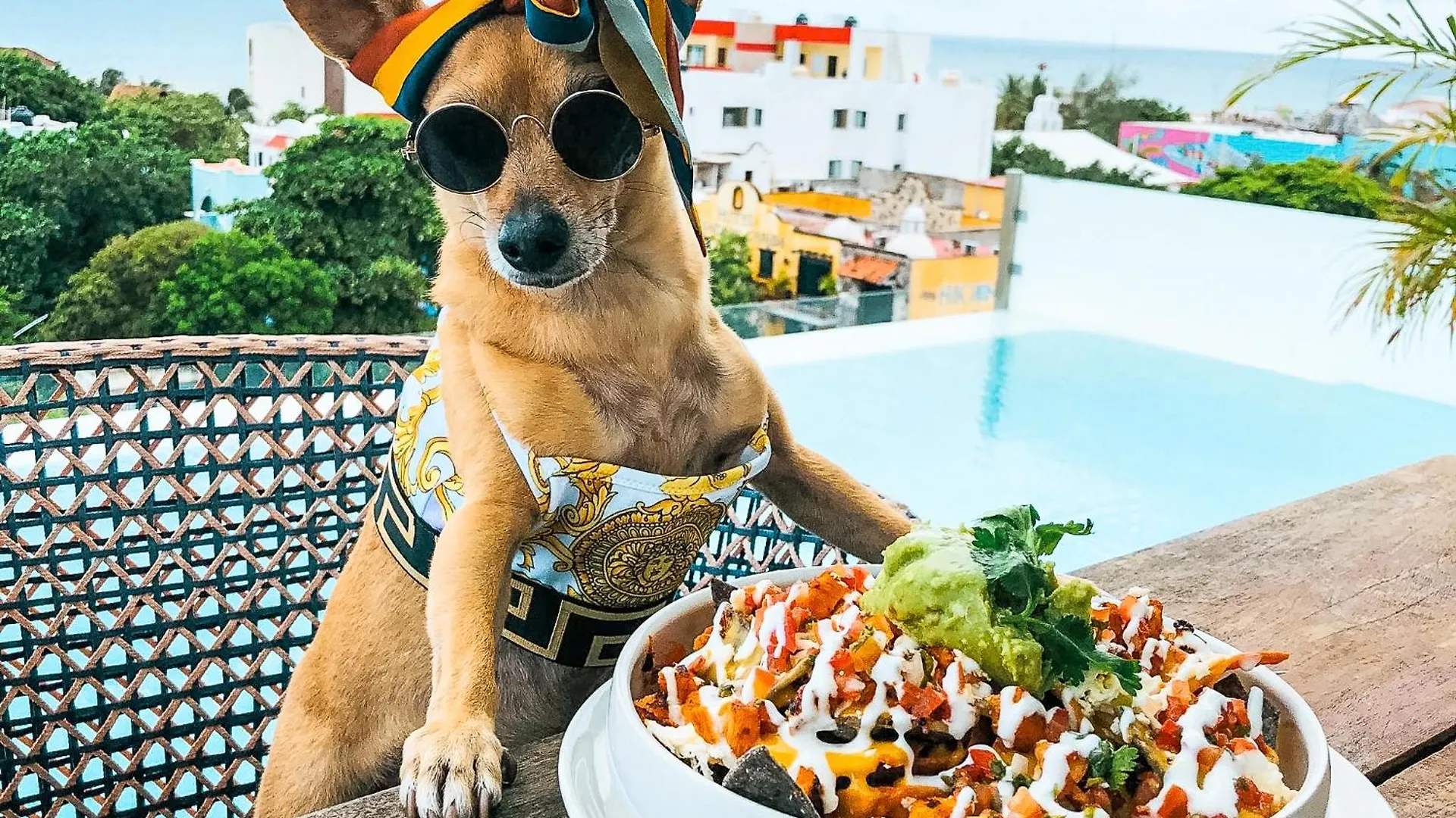 ****  The Fives Downtown Hotel & Residences, Curio Collection By Hilton Playa del Carmen Mexico